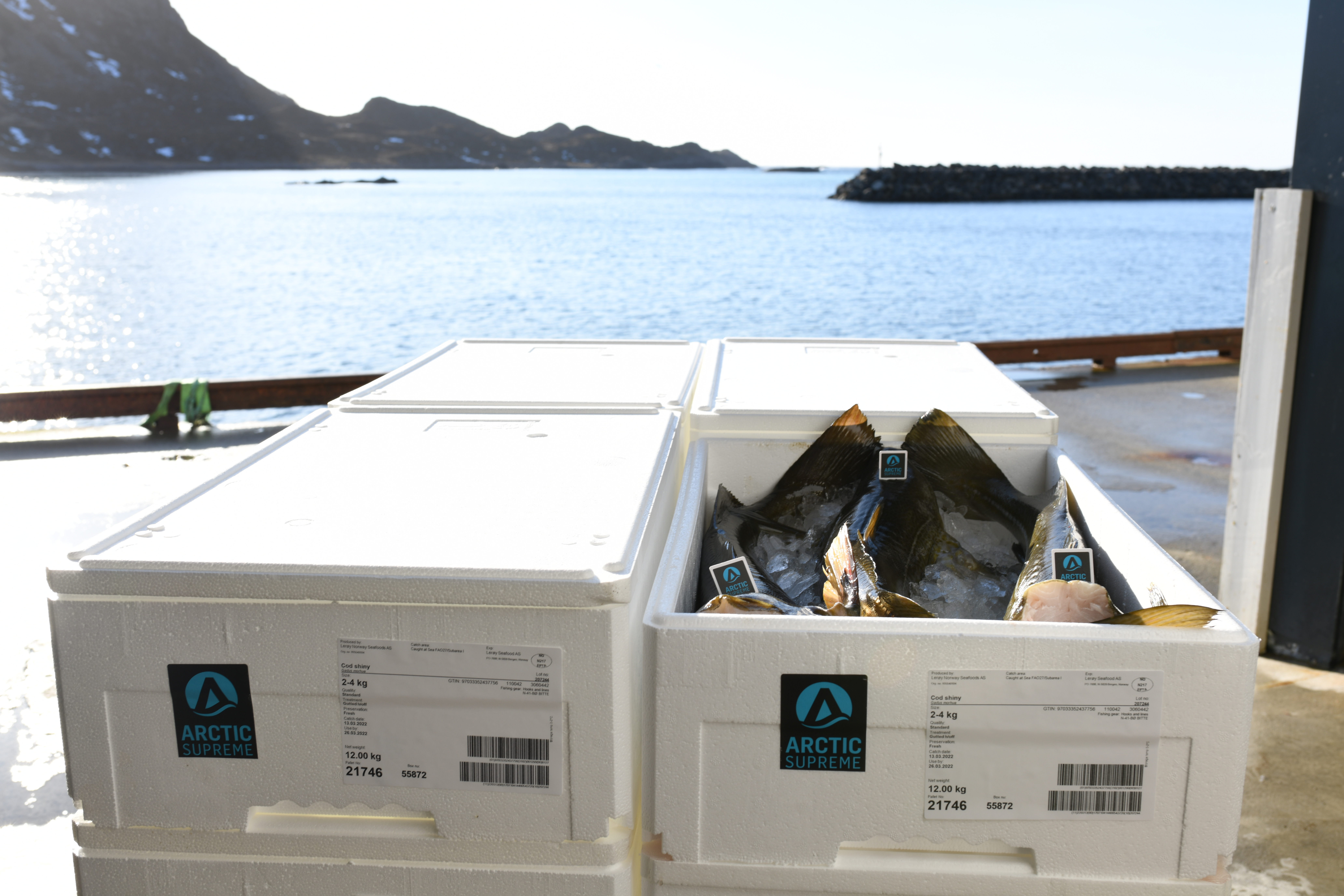 Arctic Supreme torsk